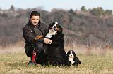ADULTE ET CHIEN 067